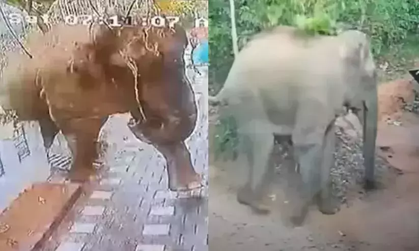 കർണാടക വനം വകുപ്പിന്റെ വീഴ്ച വ്യക്തം കർണാടക വനം വകുപ്പിന്റെ വീഴ്ച വ്യക്തം