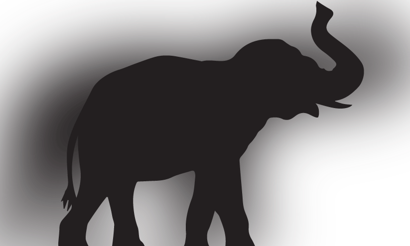 ഒരാഴ്ചക്കിടെ മാനന്തവാടി ജനവാസ മേഖലയെ വിറപ്പിച്ചത് രണ്ട് കാട്ടാനകൾ ഒരാഴ്ചക്കിടെ മാനന്തവാടി ജനവാസ മേഖലയെ വിറപ്പിച്ചത് രണ്ട് കാട്ടാനകൾ