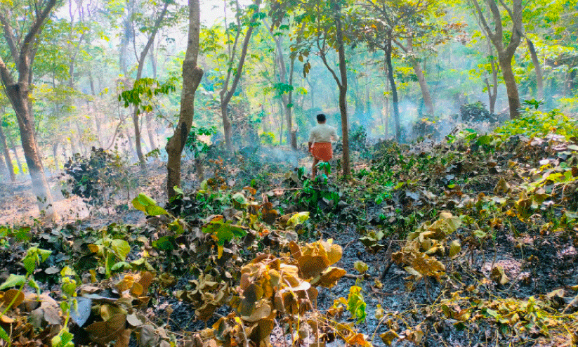 മുക്കടയിൽ റബർതോട്ടത്തിന് തീപിടിച്ചു