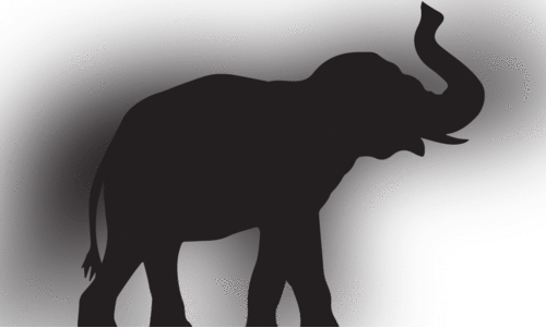 ഒരാഴ്ചക്കിടെ മാനന്തവാടി ജനവാസ മേഖലയെ വിറപ്പിച്ചത് രണ്ട് കാട്ടാനകൾ ഒരാഴ്ചക്കിടെ മാനന്തവാടി ജനവാസ മേഖലയെ വിറപ്പിച്ചത് രണ്ട് കാട്ടാനകൾ