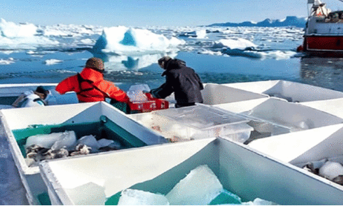 ഹി​മ​പാ​ളി​ക​ൾ