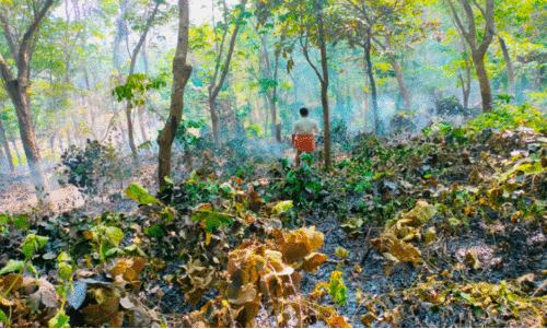 മുക്കടയിൽ റബർതോട്ടത്തിന് തീപിടിച്ചു