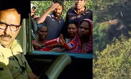 കൊലയാളി ആന കാണാമറയത്ത്; കാട്ടിൽനിന്ന് മടങ്ങിയ ദൗത്യ സംഘത്തെ തടഞ്ഞ് നാട്ടുകാർ