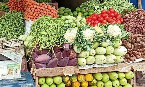 മ​ഴ​ക്കാ​ല കൃ​ഷി​ക്കാ​യി ത​യാ​റെ​ടു​ക്കാം