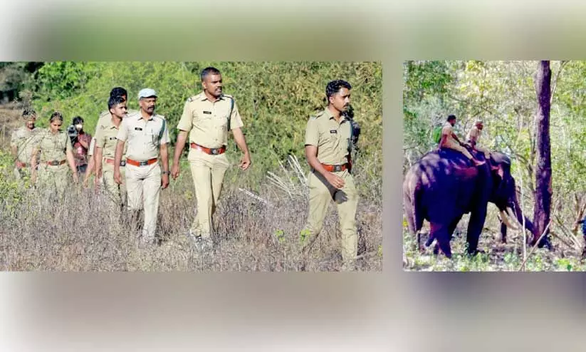 ആ​ന​ക്കാ​യി തി​ര​ച്ചി​ൽ ന​ട​ത്തു​ന്ന വ​ന​പാ​ല​ക​ർ