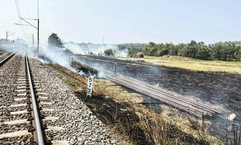 മാന്നനൂർ ട്രാക്കിന് സമീപം അഗ്നിബാധ; ട്രെയിൻ ഗതാഗതം തടസ്സപ്പെട്ടു