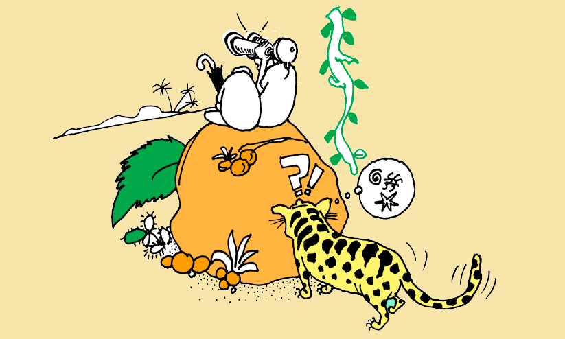 മൂന്നാറിൽ കടുവ, പീരുമേട്ടിൽ പുലി, തോട്ടാപ്പുരയിൽ കാട്ടാന മൂന്നാറിൽ കടുവ, പീരുമേട്ടിൽ പുലി, തോട്ടാപ്പുരയിൽ കാട്ടാന