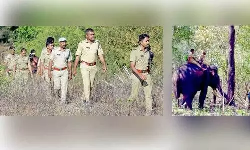 ആ​ന​ക്കാ​യി തി​ര​ച്ചി​ൽ ന​ട​ത്തു​ന്ന വ​ന​പാ​ല​ക​ർ