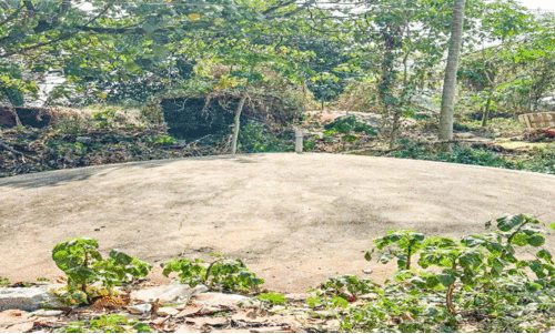 നിർമാണം പൂർത്തിയാക്കി പതിറ്റാണ്ട് പിന്നിട്ടിട്ടും  ബയോഗ്യാസ് പ്ലാന്റ് പ്രവർത്തനരഹിതം