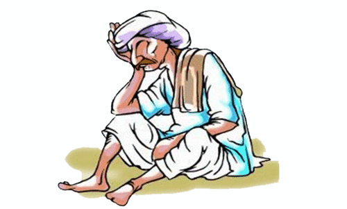 കാട്ടുമൃഗങ്ങളുടെ വിളയാട്ടം  കർഷകർക്ക് കഷ്ടകാലം