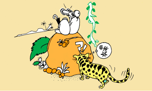 മൂന്നാറിൽ കടുവ,   പീരുമേട്ടിൽ പുലി,  തോ​ട്ടാ​പ്പു​ര​യി​ൽ കാ​ട്ടാ​ന