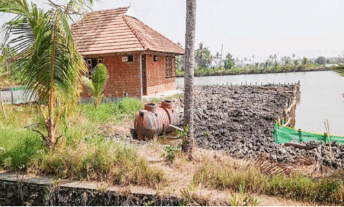 പൊക്കാളിപ്പാടം നികത്തി അനധികൃത റിസോർട്ട് നിർമിച്ചതായി ആക്ഷേപം