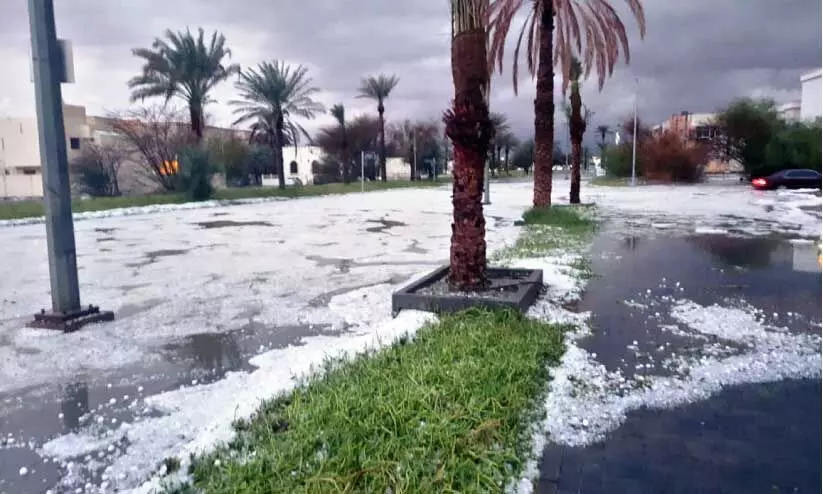 തോ​രാ മ​ഴ​യും ആ​ലി​പ്പ​ഴ വ​ർ​ഷ​വും