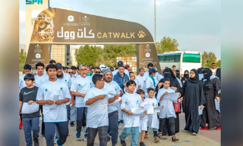 cat walk march cat walk march