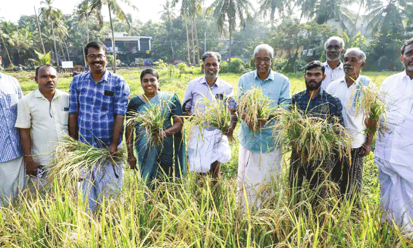 ചായക്കടക്കൊപ്പം കൃഷിയിലും മികവ് തെളിയിച്ച് ഷംസുദ്ദീൻ ചായക്കടക്കൊപ്പം കൃഷിയിലും മികവ് തെളിയിച്ച് ഷംസുദ്ദീൻ