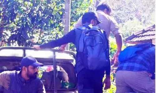 wildlife conflict wildlife conflict