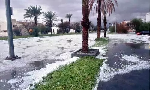 തോ​രാ മ​ഴ​യും ആ​ലി​പ്പ​ഴ വ​ർ​ഷ​വും