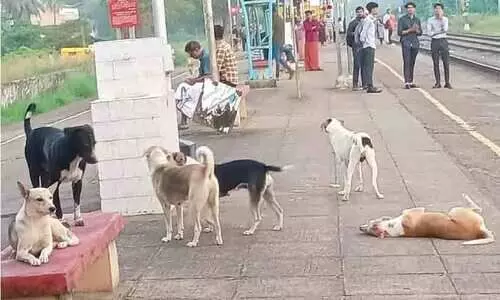 Kanhangad railway station