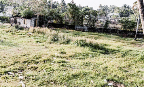 പ്രഹസന വാഗ്ദാനങ്ങൾ മാത്രം; സെൻട്രൽ സ്വകാര്യ ബസ് സ്റ്റാൻഡിന്​ ഇത്തവണ ബജറ്റിലും ഇടമില്ല