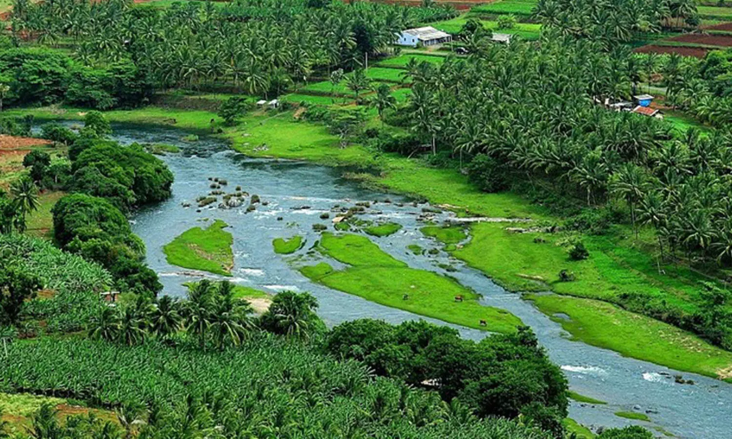 അട്ടപ്പാടിയിലെ ആദിവാസി മേഖലക്ക് ഈ സർക്കാർ 64.12 കോടി അനുവദിച്ചുവെന്ന് കെ. രാധാകൃഷണൻ