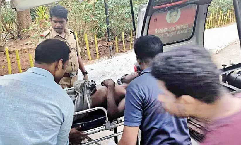 പരിക്കേറ്റ ദേവനെ വനപാലകർ ആശുപത്രിയിലേക്ക് മാറ്റുന്നു പരിക്കേറ്റ ദേവനെ വനപാലകർ ആശുപത്രിയിലേക്ക് മാറ്റുന്നു