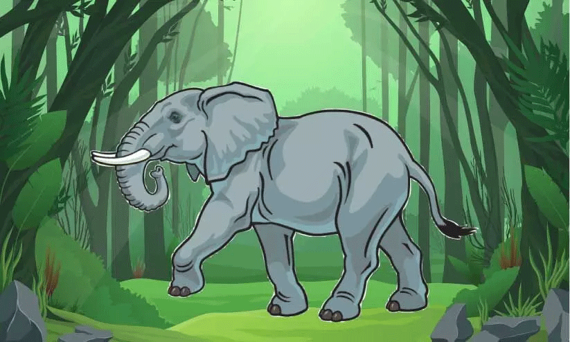 ഭീ​തി​യി​ൽ മ​ണ്ണു​ണ്ടി, ഇ​രു​മ്പു​പാ​ലം കോ​ള​നി​ക്കാ​ർ