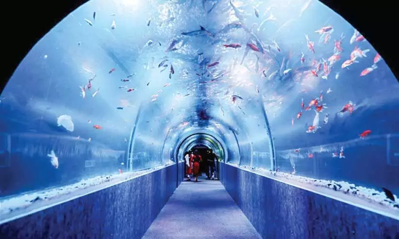 മ​റൈ​ൻ​വേ​ൾ​ഡ് അ​ണ്ട​ർ വാ​ട്ട​ർ ട​ണ​ൽ അ​ക്വേ​റി​യം