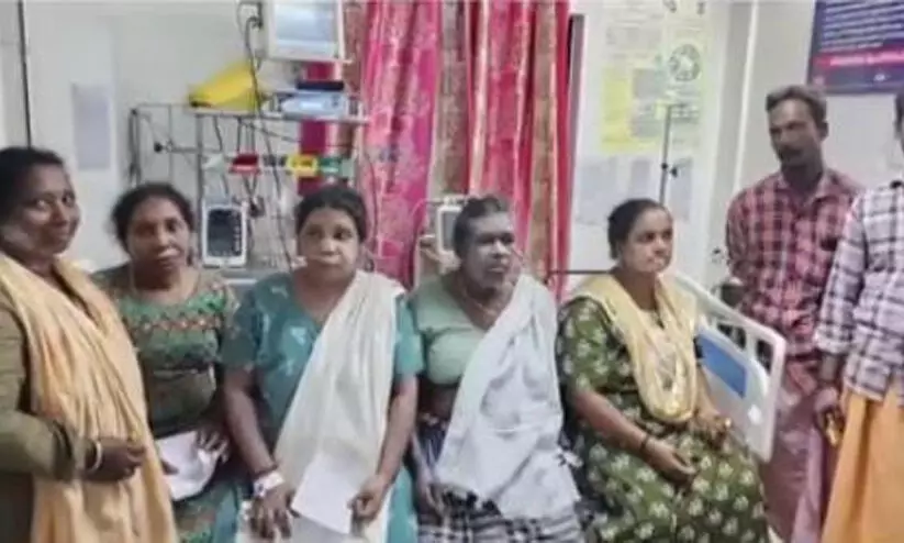 വിതുരയിൽ തേനീച്ചയുടെ കുത്തേറ്റ് എട്ട് തൊഴിലുറപ്പ് തൊഴിലാളികൾക്ക് പരിക്കേറ്റു