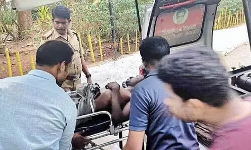 പരിക്കേറ്റ ദേവനെ വനപാലകർ ആശുപത്രിയിലേക്ക് മാറ്റുന്നു പരിക്കേറ്റ ദേവനെ വനപാലകർ ആശുപത്രിയിലേക്ക് മാറ്റുന്നു