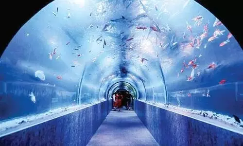 മ​റൈ​ൻ​വേ​ൾ​ഡ് അ​ണ്ട​ർ വാ​ട്ട​ർ ട​ണ​ൽ അ​ക്വേ​റി​യം