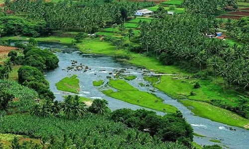 അട്ടപ്പാടിയിലെ ആദിവാസി മേഖലക്ക് ഈ സർക്കാർ 64.12 കോടി അനുവദിച്ചുവെന്ന് കെ. രാധാകൃഷണൻ