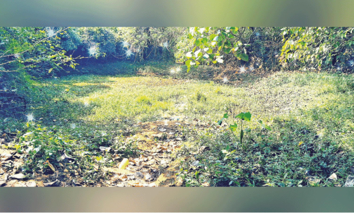 പൊ​യ്യ പ​ഞ്ചാ​യ​ത്തി​ലെ ക​ല്ല​ൻ​കു​ളം