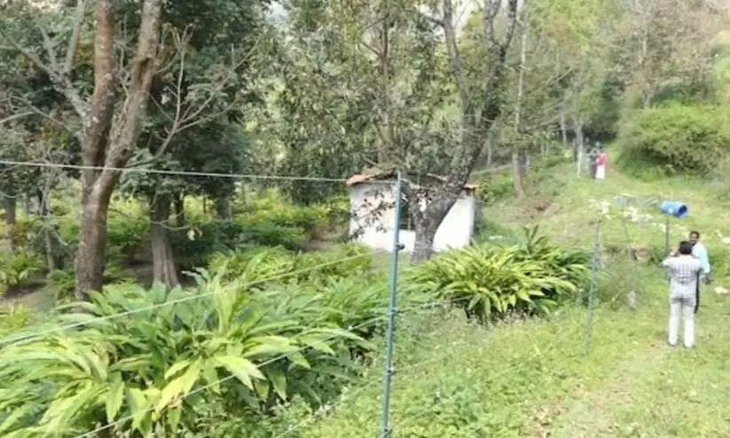 മൂന്നാർ ഡിവിഷന് കീഴിലെ താൽക്കാലിക വാച്ചർമാരെ പിരിച്ചുവിടാനുള്ള ഉത്തരവ് വിവാദത്തിൽ
