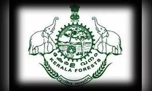 വന്യജീവികൾ ജനവാസ മേഖലയിൽ കണക്കുകൂട്ടൽ പിഴച്ച് വനംവകുപ്പ്