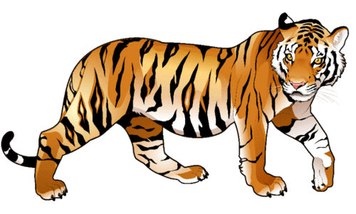 കൊട്ടിയൂരിൽ വീണ്ടും കടുവ?