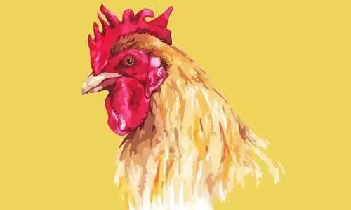 കു​​ടും​​ബ​​ത്തി പെ​​റ​​ന്ന   പൂ​​വ​​ൻ