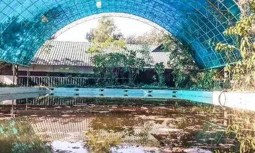 ഉ​പ​യോ​ഗ​ശൂ​ന്യ​മാ​യി കി​ട​ക്കു​ന്ന നീ​ന്ത​ൽകു​ളം