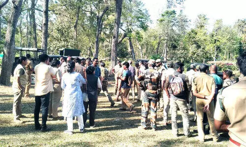 belur magna belur magna