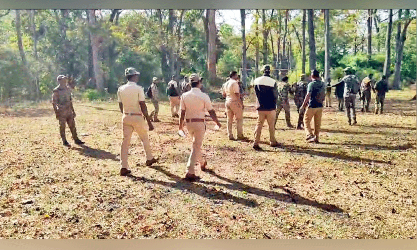 searching belur makhna searching belur makhna