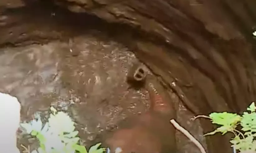 കിണറ്റിൽ കുട്ടിയാന വീണു; രക്ഷിക്കാൻ ശ്രമം തുടരുന്നു