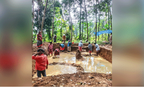 തൊ​ഴി​ലു​റ​പ്പ് പ​ദ്ധ​തി മ​ഹാ​ത്മ പു​ര​സ്കാ​രം; ഒന്നാം സ്ഥാനത്ത്​ മൈലപ്രയും കൊടുമണ്ണും
