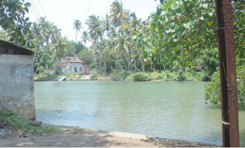 കാ​യി​ക്ക​ര ക​ട​വ്