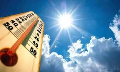 ചൂട് കൂടുന്നു; ഇക്കാര്യങ്ങൾ ശ്രദ്ധിക്കാം