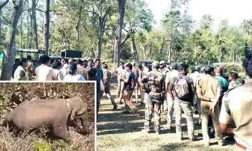 ദൗ​ത്യ​സം​ഘ​ത്തെ വട്ടംകറക്കി ബേലൂര്‍ മഖ്‌ന