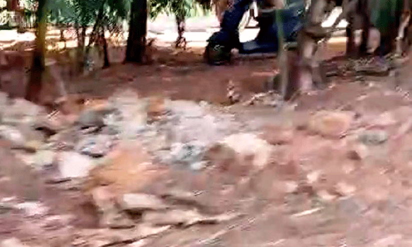 വ​യ​ൽ നി​ക​ത്ത​ൽ