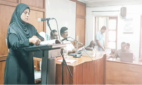 പത്തനംതിട്ട നഗരസഭ ബജറ്റ്​; പത്തനംതിട്ടയിൽ സെന്‍റർ സ്ക്വയർ, ചുട്ടിപ്പാറയിൽ അഡ്വഞ്ചർ പാർക്ക്