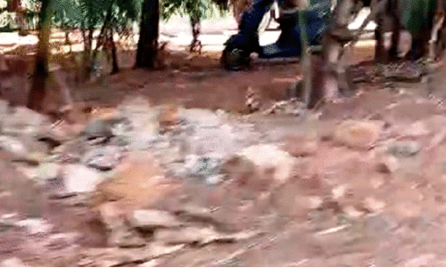 വ​യ​ൽ നി​ക​ത്ത​ൽ