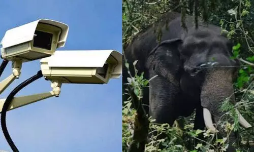 വന്യമൃഗങ്ങൾ ജനവാസ മേഖലയിൽ വരുന്നത് കണ്ടെത്താൻ 250 പുതിയ കാമറകൾ സ്ഥാപിക്കാൻ തീരുമാനം
