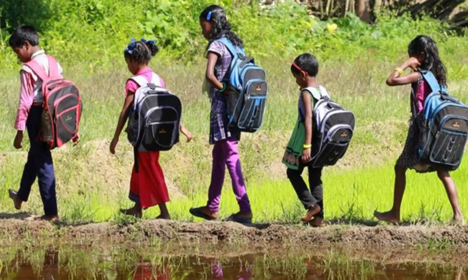 ഇ- ഗ്രാന്റ് സ്കോളർഷിപ്പ്: കുടിശ്ശികയായത് 548 കോടി