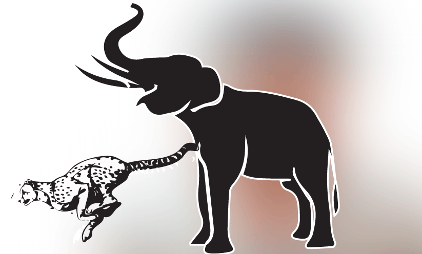 കാടിറങ്ങി വന്യമൃഗങ്ങൾ;  ഇതുവരെ പരിക്കേറ്റത്​ 291 പേർക്ക്